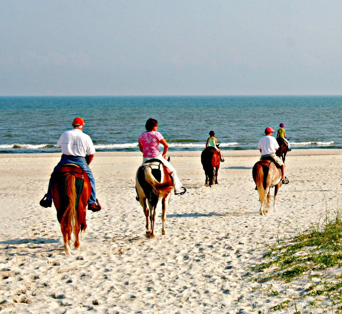 Family horseback riding on the beach in Cape San Blas, Florida