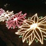 Bellingrath Gardens Magic Christmas in Lights Dazzles Visitors