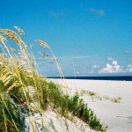 Walks on the Wild Side Explore the Alabama Gulf Coast