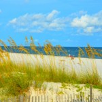 Things To Do in Gulf Shores