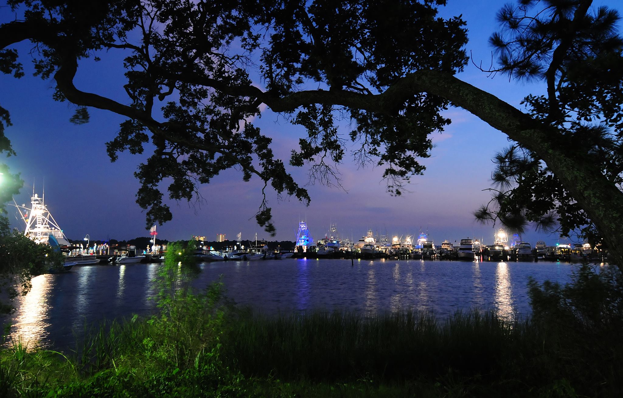 Emerald Coast Blue Marlin Classic at Sandestin – Fish, Fun, Prizes!