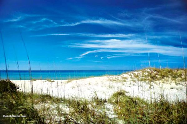 Panama City Beach Enjoy Subtropical Weather Year Round   Panama City Beach Sand Dunes 20154823637 600x400 