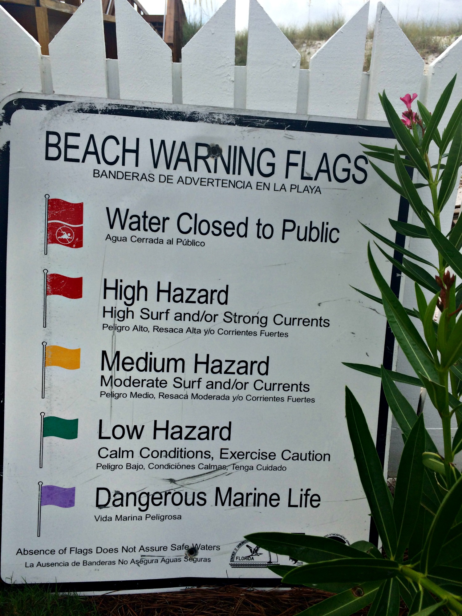 Beach Warning Flag Meanings 