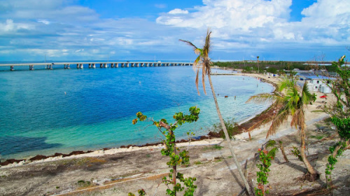 With 500 acres to explore, Bahia Honda State Park's secluded beaches are ideal for shelling, snorkelying and just relaxing.