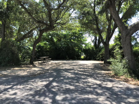 RV site at Gulf State Park.