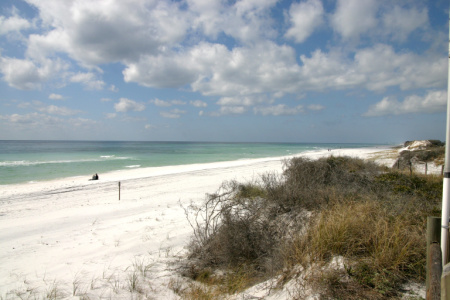 Grayton Beach State Park includes miles of unspoiled white sand beaches.