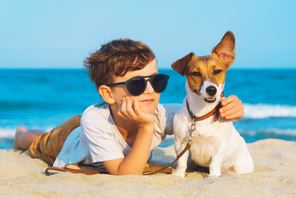 Little boy with dog on a dog-friendly beach.