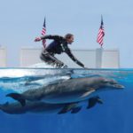 Dreams Come True When You Swim With Dolphins At Gulf World Marine Park